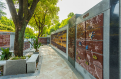 绿色殡葬新风尚：探索葬式多样化的创新之路