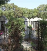 绿色生态葬：文明赓续的绿色选择