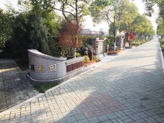 城市最后一平米：生态葬，是与自然的和解？还是无奈的选择？