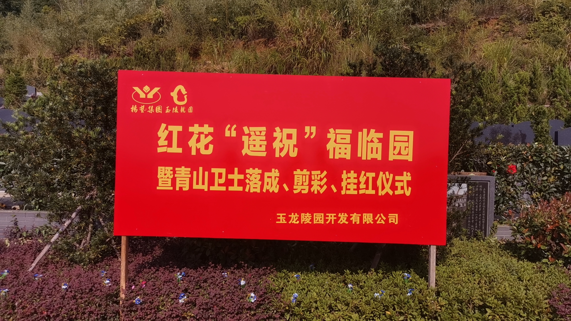 红花传爱意，情满玉龙园！