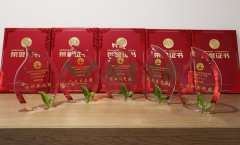 “E尊国际杯”浙江省节地生态安葬设计作品奖