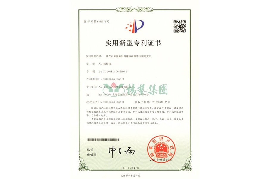 实用新型专利：一种在古墓葬墓室斜撑木纠偏中