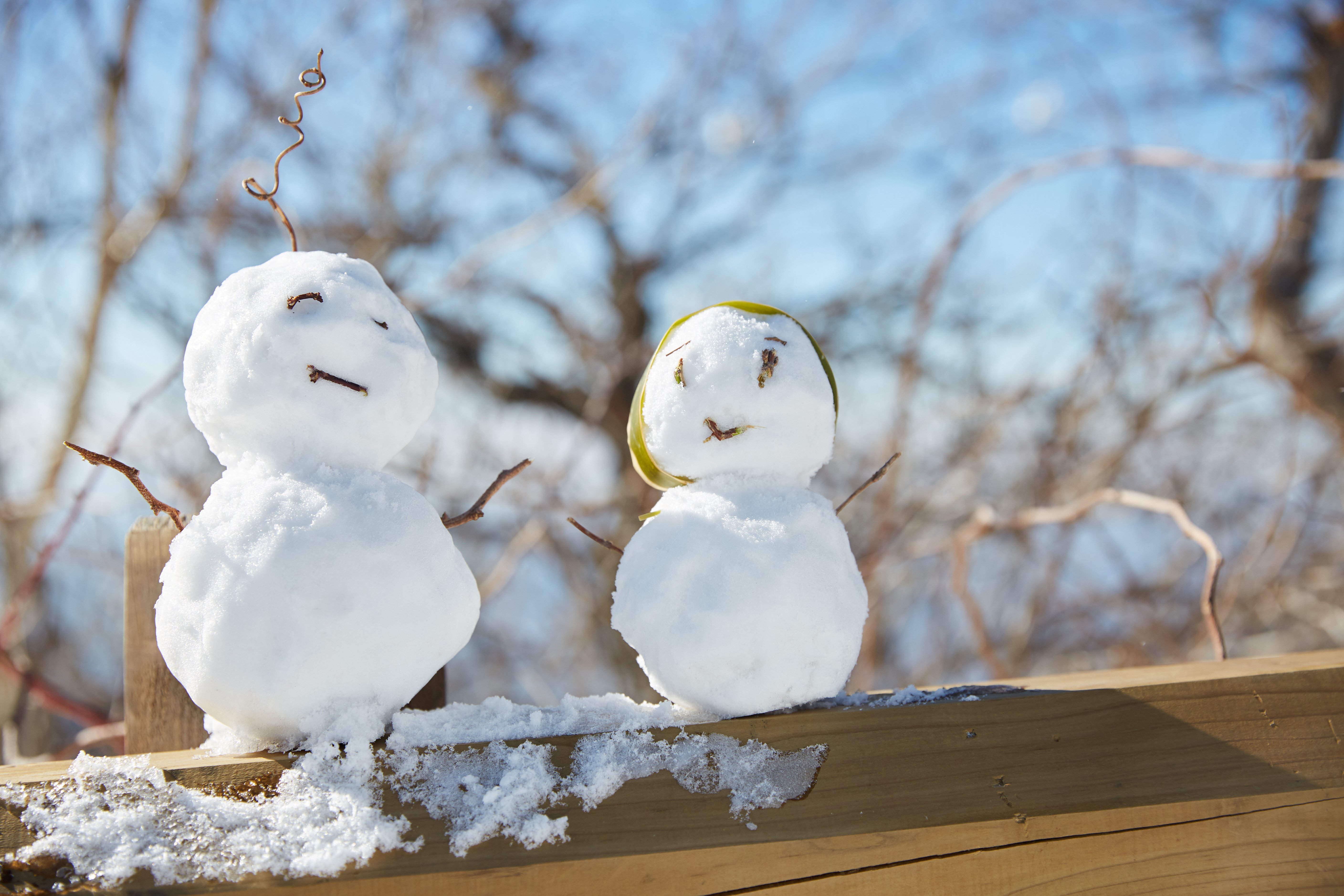 冬至，暖“杨”相伴 | E尊国际人全力配合各墓园冬至落葬