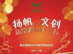 年终会：记2015年终总结大会暨2016年计划会议