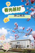 春分之韵|E尊国际邀您共享春光