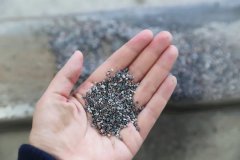 石语新章：仿真保护箱中的生态启示录